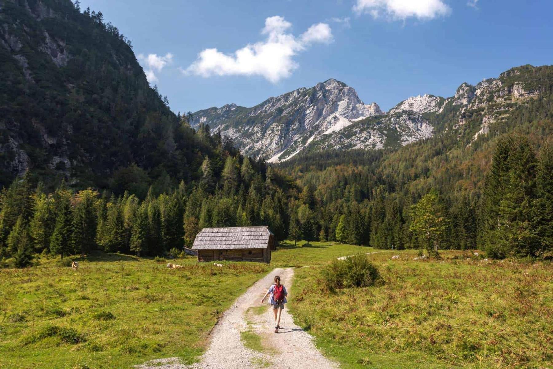 Sunny Retreat Apartment Kranjska Gora Extérieur photo